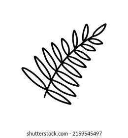 Branch of plant with leaves. Doodle leafy plant vector illustration