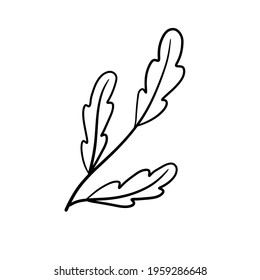 Branch of plant. Leaves in line style. Black and white natural illustration. Minimalism and simple flora.