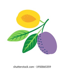 Branch with Plums and Leaves. Vector Illustration.