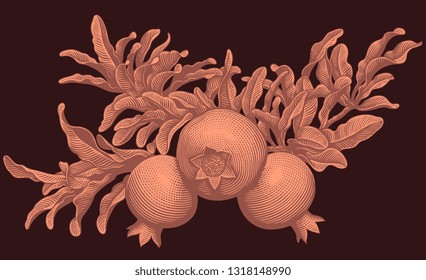 Branch of pomegranate. Hand drawn engraving. Editable vector vintage illustration. Isolated on dark background. 8 EPS