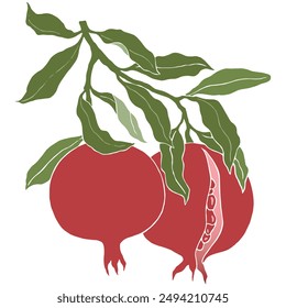 Rama de un árbol de granada con dos frutas de granada maduras y jugosas. Ilustración para tu diseño.