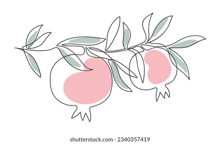 Branch with pomegranates and leaves. Modern single line art drawing. Continuous line drawing. Outline draw design vector illustration