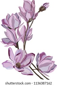 
branch of purple flowers