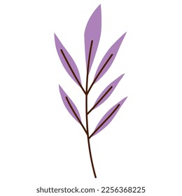 branch with purple leafs foliage