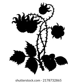 Branch of raspberry plant with leaves flower and berries. Black silhouette on white background.