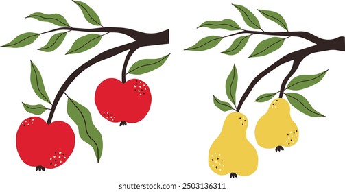Zweig mit roten Äpfeln und Zweig mit gelben Birnen. Farbige Vektorgrafik mit reifen Früchten und Blättern auf Ästen.	