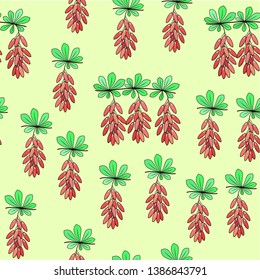 A branch of red berries of barberry, a medicinal plant. Useful berries in cooking and medicine. Beschevniy pattern. Graphic image. Vector illustration.