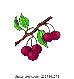 Сherry branch. Red berries. Hand-drawn flat image. Vector illustration