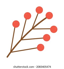 branch with red berries on white background