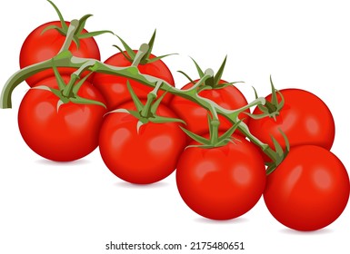 Zweig der roten Kirschtomaten für Banner, Flyer, Plakate, Karten, soziale Medien. Frische organische und gesunde Lebensmittel, Diät und Gemüse. Vektorgrafik einzeln auf weißem Hintergrund