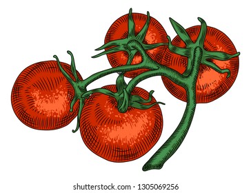 A branch of red cherry tomatoes on a white background.