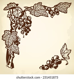 A branch of red currants, berries and leaves. Vintage drawing.