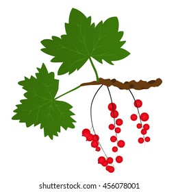 Branch of red currants with leaves. Bright juicy and tasty berry. Healthy raw food. Vector illustration. Isolated on white background.