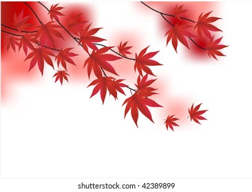 A branch of red maple