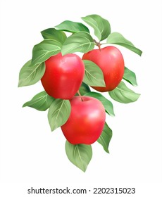 Branch with red ripe apples isolated on white. Vector illustration.