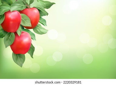 Zweig mit roten reifen Äpfeln auf sonnigem Hintergrund. Vektorgrafik.