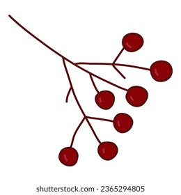 Branch with red rowan berries, element for winter holidays decoration, vector