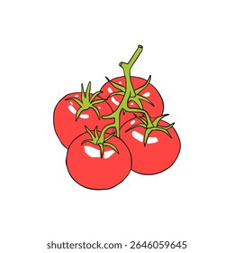 Branch of red tomatoes. Hand drawn vector illustration.
