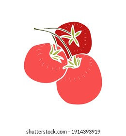 Branch with red tomatoes. Vector isolated element for design. Doodle illustration.