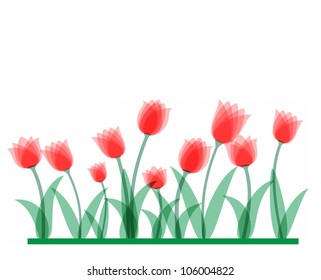 Branch of red tulip
