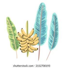 Branch of ripe bananas with leaves. Hand drawn vector illustration isolated on white background. 