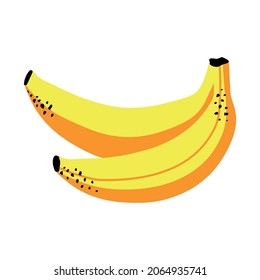  Branch of ripe bananas. Vector Illustration.