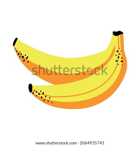  Branch of ripe bananas. Vector Illustration.