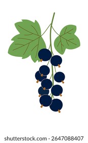 Ramo de groselhas negras maduras com folhas. Ilustração de vetor bonito para o projeto do rótulo da lata de geleia, receita de bolo de baga, adesivos no fundo isolado branco. Formato vertical.	