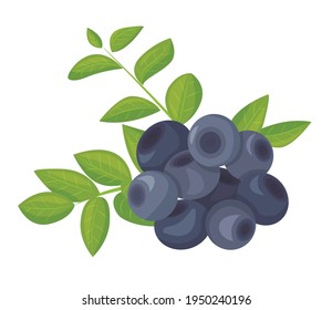 A branch of ripe blueberries, isolated on a white background. Beautiful juicy berries surrounded by bright foliage. Kitchen utensils design element. Vector illustration