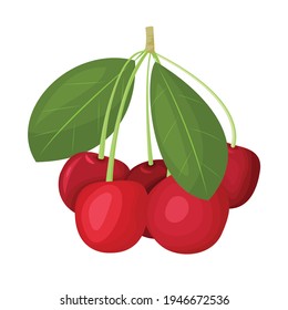 A branch of a ripe red cherry, isolated on a white background. Beautiful juicy berries. Kitchen utensils design element. Vector illustration