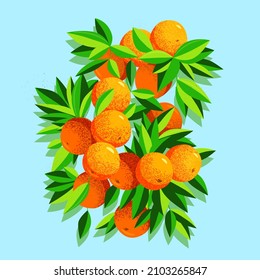 Branch of ripe tangerines with green leaves. Contemporary vector illustration of beautiful fresh tasty oranges 