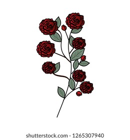 branch with rose and leafs