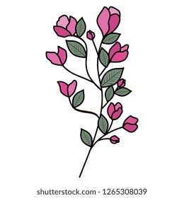 branch with rose and leafs