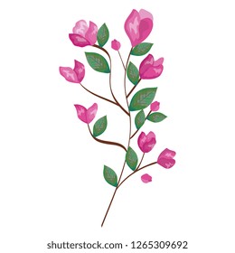 branch with rose and leafs