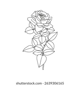 A branch of rose and leaves. Coloring page for adults and children.