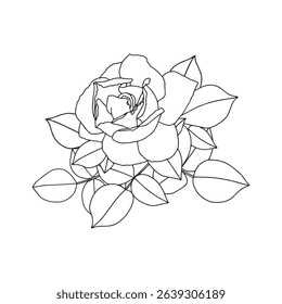A branch of rose and leaves. Coloring page for adults and children.