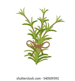 Branch of rosemary with rope