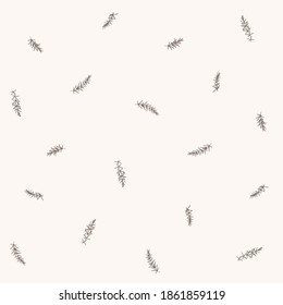 Branch of rosemary. Trendy pattern with twig. Vector contour illustration.