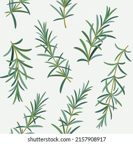 Branch of rosemary. Trendy pattern with twig. Contour vector detail illustration.