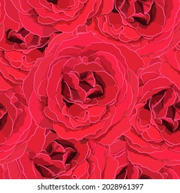 Branch of roses with leaves. Floral background.