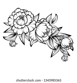 Branch of roses on a white background;