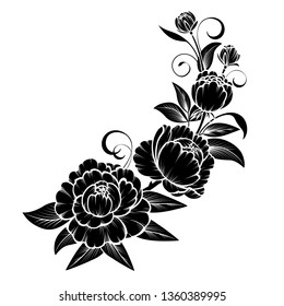 Branch of roses on a white background;