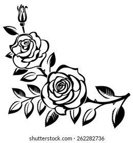 Branch of roses on a white background
