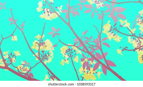 Branch of rosy trumpet, pink poui (Tabebuia rosea) blossoming. neotropical tree. Vector illustration on neon bright green background