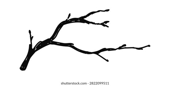 Branch with rough bark and slender offshoots drawn in bold contour style. Symbol of nature, wilderness, minimal decor, and organic texture. Cartoon vector illustration.
