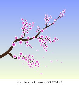Branch of Sakura