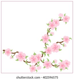 Branch of sakura blossoms in a pink frame on a white background