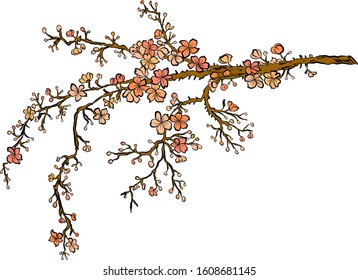 Branch of sakura flower vector for printing on background.Peach blossom illustration for doodle art.Cherry blossom with nature background.Apricot flower set for tattoo.Japanese floral collection.