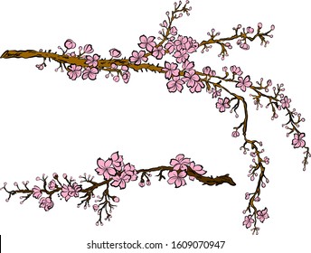 Branch of sakura flower vector for printing on background.Peach blossom illustration for doodle art.Cherry blossom with nature background.Apricot flower set for tattoo.Japanese floral collection.