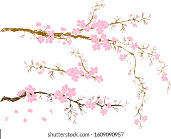 Branch of sakura flower vector for printing on background.Peach blossom illustration for doodle art.Cherry blossom with nature background.Apricot flower set for tattoo.Japanese floral collection.